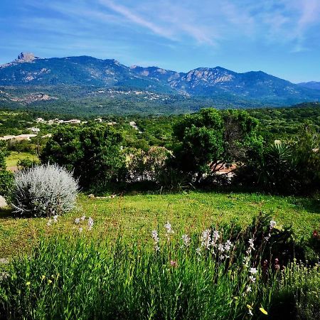 Appartements Avec Jardin Entre Porto-Vecchio Et Figari - Casa Mattiste Sotta Exterior foto