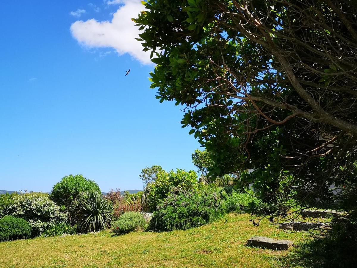 Appartements Avec Jardin Entre Porto-Vecchio Et Figari - Casa Mattiste Sotta Exterior foto